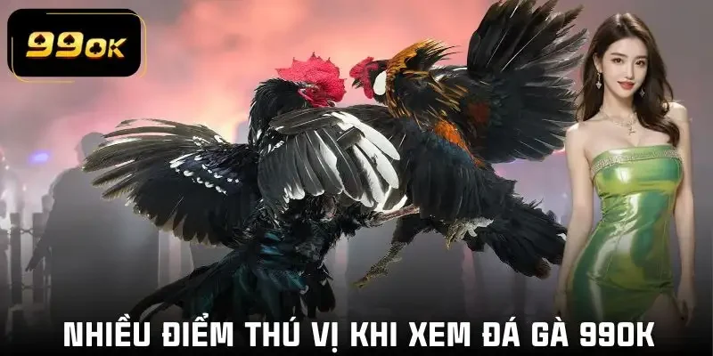 da-ga-99ok-loi-ich